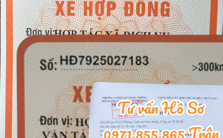 Gia nhập hợp tác xã vận tải tại TP.HCM – Hợp pháp hóa xe kinh doanh dễ dàng