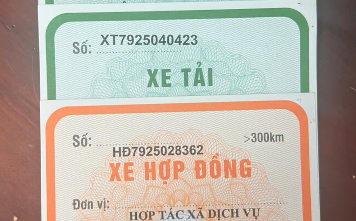 Gia nhập hợp tác xã vận tải tại TP.HCM – Hợp pháp hóa xe kinh doanh dễ dàng